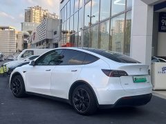 Tesla Model Y 2022 rear-wheel drive version - фото 9