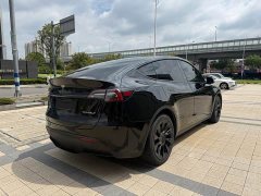 Tesla Model Y Standard Range Edition - фото 12
