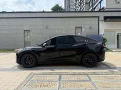 Tesla Model Y Standard Range Edition - фото 15