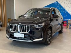 BMW X1 xDrive25Li X - фото 1