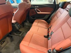 BMW X1 xDrive25Li X - фото 3