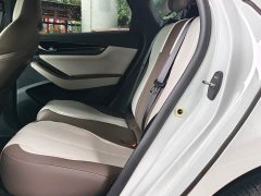 BYD PLUS Edition DM-i 55KM Version - фото 15