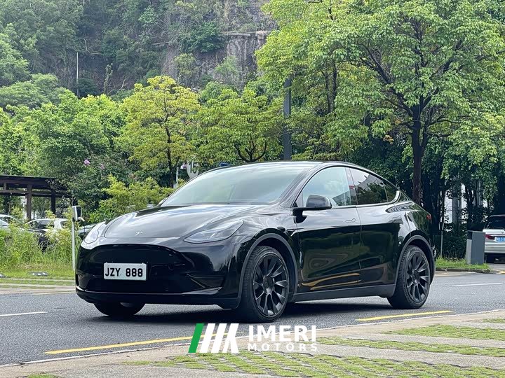 Tesla Model Y Edition - автомобиль из Китая