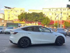 Tesla Model Y 2022 rear-wheel drive version - фото 6
