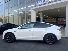 Tesla Model Y 2022 rear-wheel drive version - фото 8