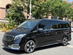Mercedes-Benz V 260 L Luxury Edition - фото 3