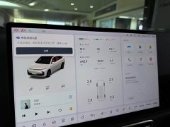 Li Auto L7 Pro - фото 20