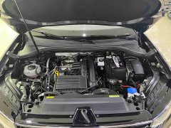Lexus Tanyue 280TSI two-wheel drive luxury Plus advanced version - фото 16