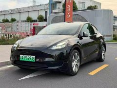 Tesla Model Y Edition - фото 1