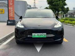 Tesla Model Y Edition - фото 2