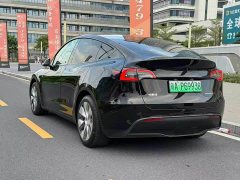 Tesla Model Y Edition - фото 3