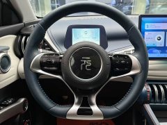 BYD PLUS 430KM Premium Version - фото 19