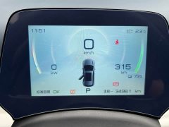 BYD PLUS 430KM Premium Version - фото 20