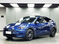 Tesla Model Y Edition - фото 1
