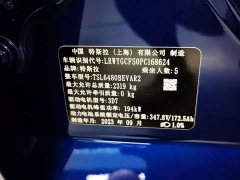 Tesla Model Y Edition - фото 17