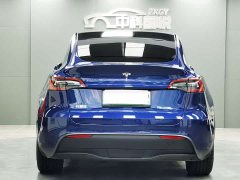 Tesla Model Y Edition - фото 5