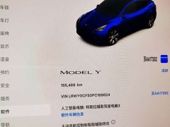 Tesla Model Y Edition - фото 8