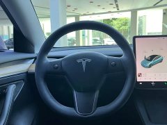 Tesla Model 3 Standard Range Edition 3D1 - фото 10