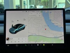 Tesla Model 3 Standard Range Edition 3D1 - фото 11