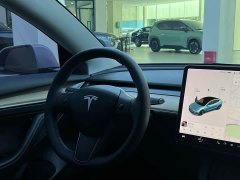 Tesla Model 3 Standard Range Edition 3D1 - фото 12
