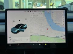 Tesla Model 3 Standard Range Edition 3D1 - фото 15
