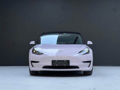 Tesla Model 3 Standard Range Edition 3D1 - фото 3