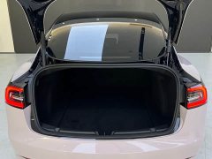 Tesla Model 3 Standard Range Edition 3D1 - фото 6