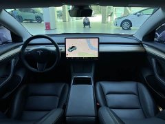 Tesla Model 3 Standard Range Edition 3D1 - фото 8