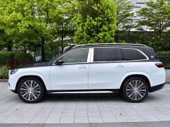Mercedes-Benz GLS 600 4MATIC Edition - фото 3