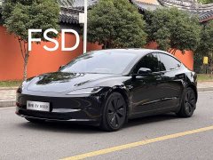 Tesla Model 3 Long Range Edition - фото 1