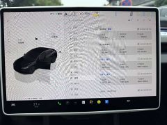 Tesla Model 3 Long Range Edition - фото 10