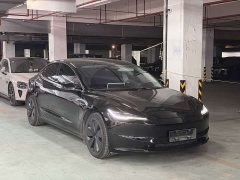 Tesla Model 3 Long Range Edition - фото 12