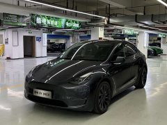 Tesla Model Y PerformancePerformance Edition - фото 1