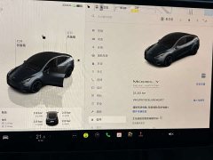 Tesla Model Y PerformancePerformance Edition - фото 10