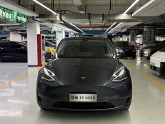 Tesla Model Y PerformancePerformance Edition - фото 2