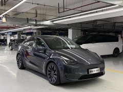 Tesla Model Y PerformancePerformance Edition - фото 3