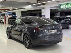 Tesla Model Y PerformancePerformance Edition - фото 5