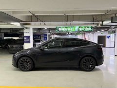 Tesla Model Y PerformancePerformance Edition - фото 6