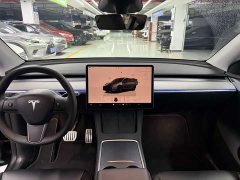 Tesla Model Y PerformancePerformance Edition - фото 9