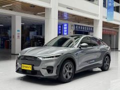 Ford Edition(Standard Range) - фото 1