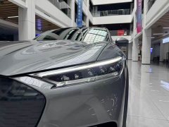 Ford Edition(Standard Range) - фото 20