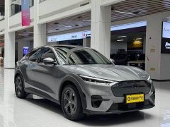 Ford Edition(Standard Range) - фото 3