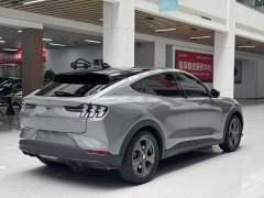 Ford Edition(Standard Range) - фото 5
