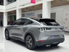 Ford Edition(Standard Range) - фото 7