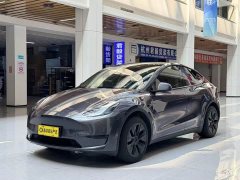 Tesla Model Y Edition - фото 1