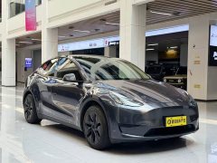Tesla Model Y Edition - фото 3