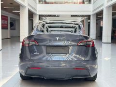 Tesla Model Y Edition - фото 6