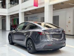 Tesla Model Y Edition - фото 7