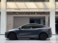 Tesla Model Y Edition - фото 8