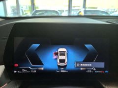 BMW X2 (Imported) sDrive25i M Sports Package - фото 8